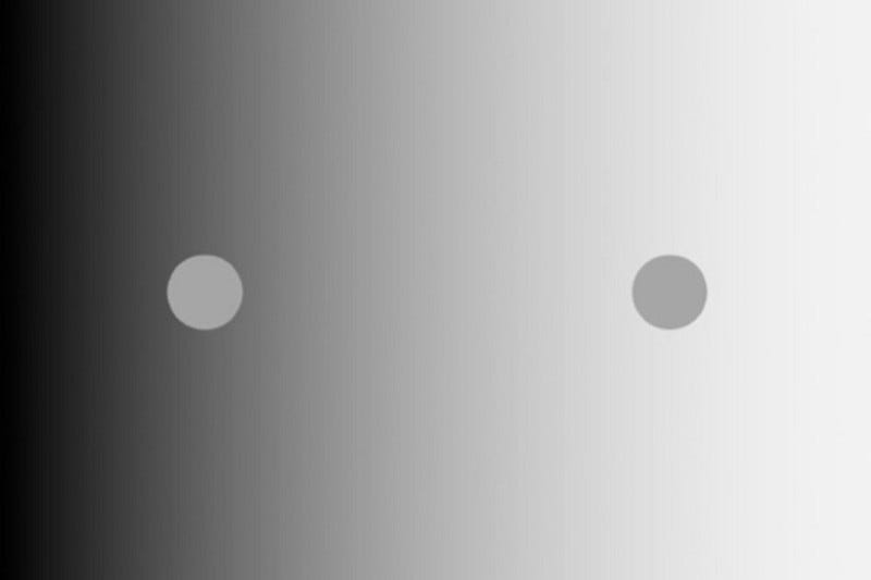 Simultaneous contrast illusion: the same coloured object is perceived as lighter or darker grey depending on its background colour