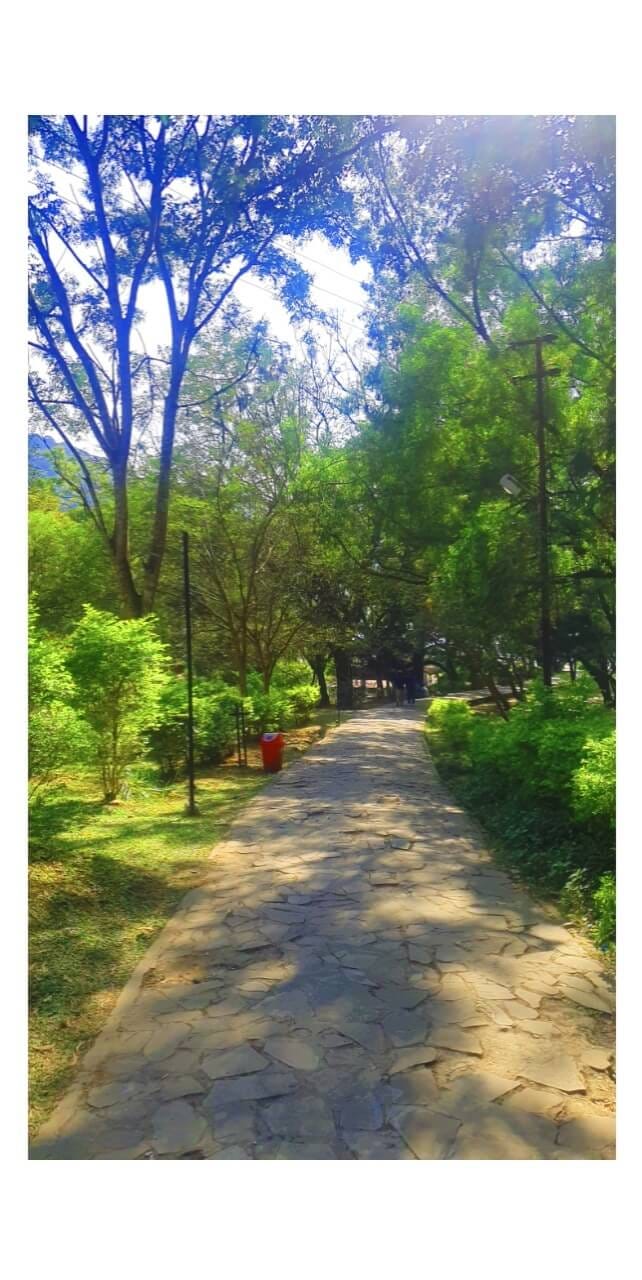 Walk to Umiam Lake Shillong