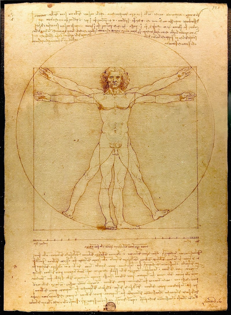 Leonardo vitruvian man
