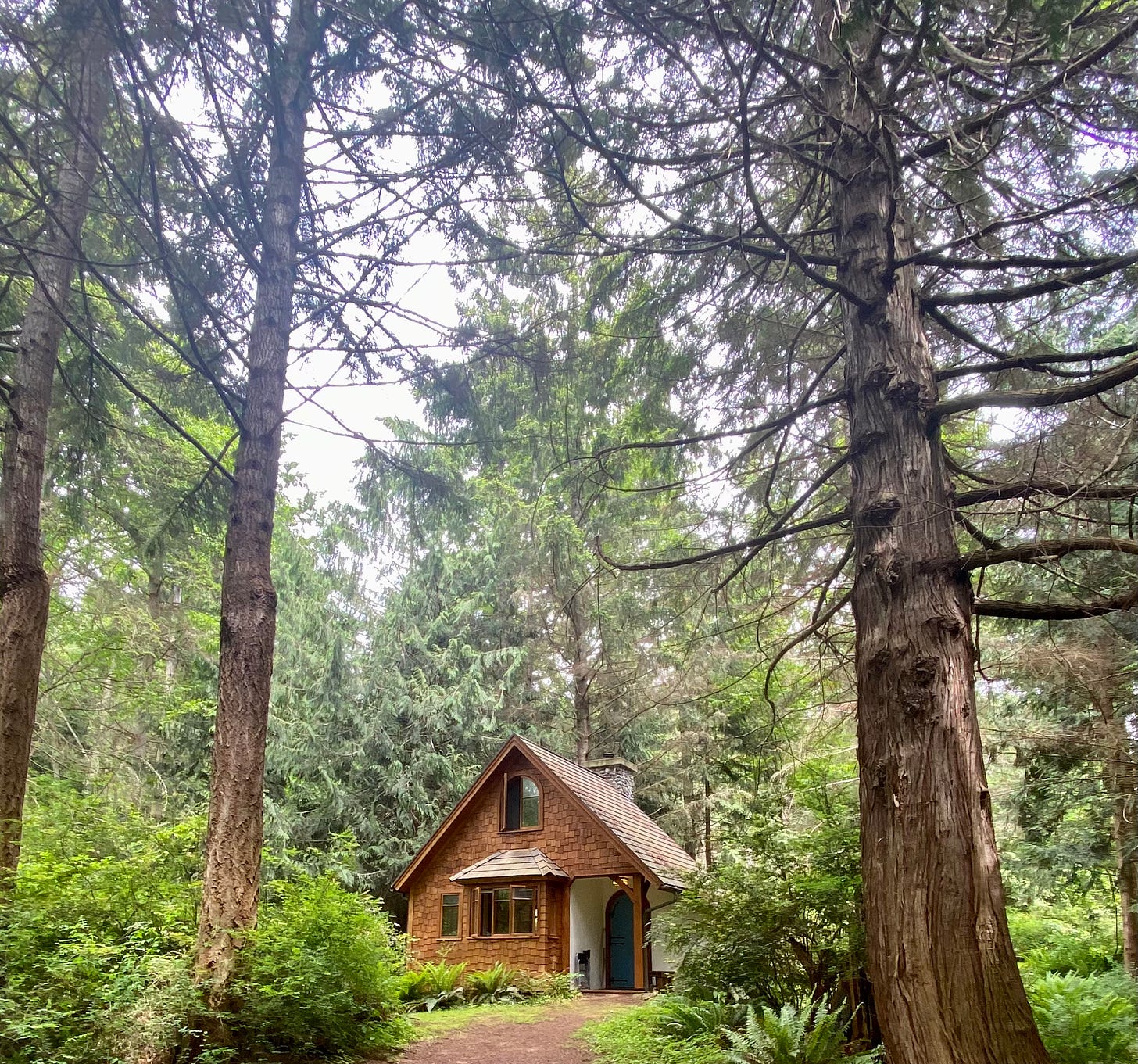 photograph of my cottage at Hedgebrook, a little log cabin with a blue door, set amidst a pine forest.
