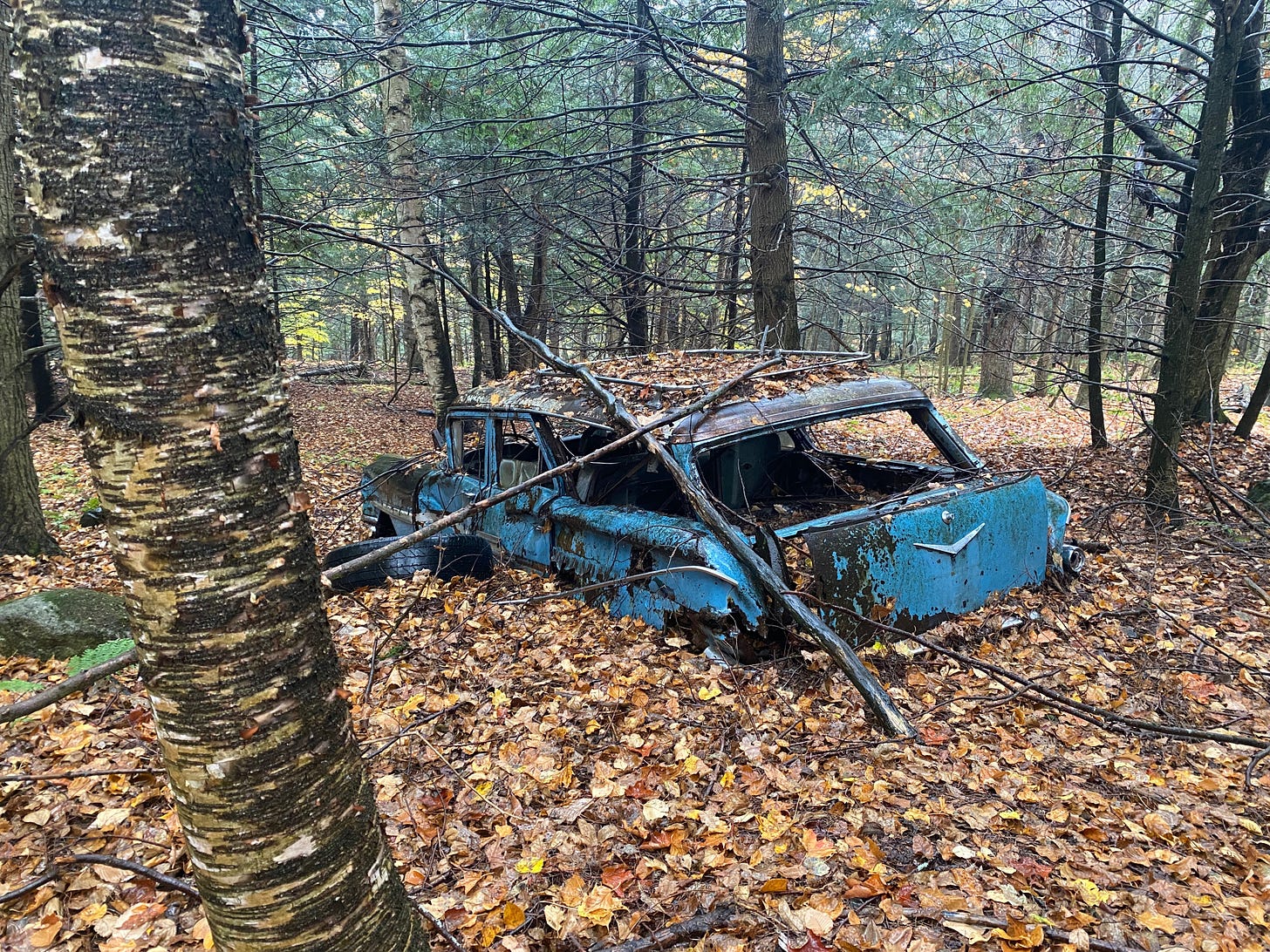 A vintage blue station wagon half drowned in the middle of a forest, stuck in mud and leaves, all the windows blown out.