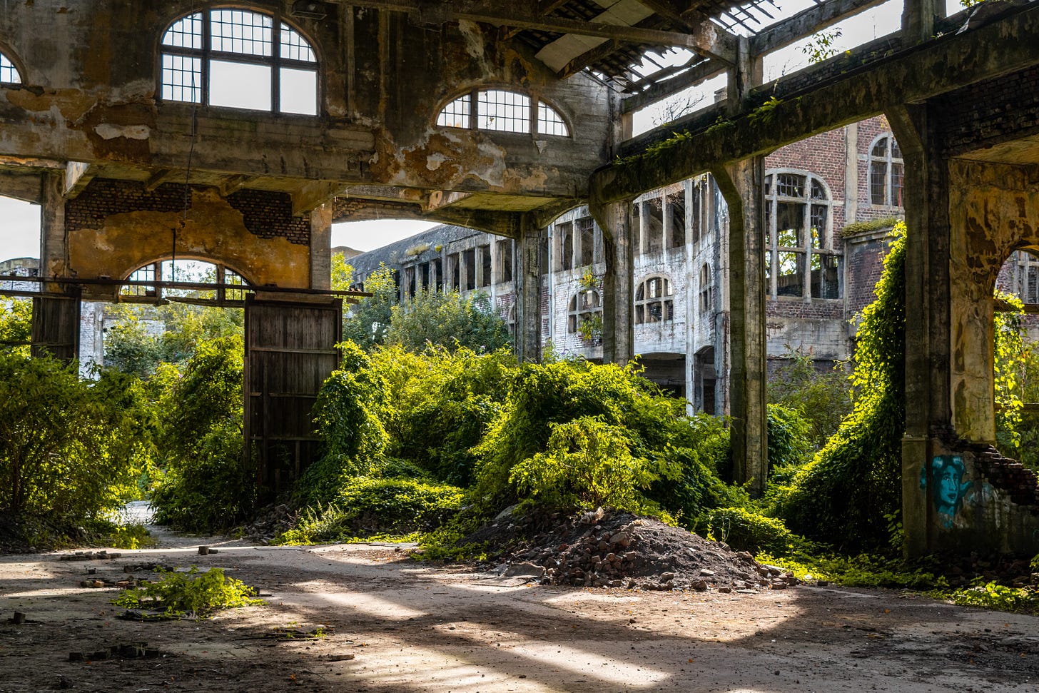 An abandoned warehouse with plants growing inside.