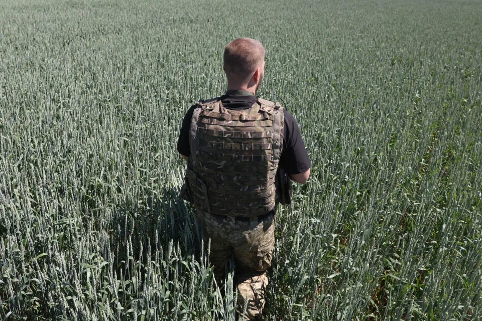 A Ukrainian serviceman attends at wheat field on the front line near the city of Soledar, Donetsk region, on June 10, 2022 amid the war with Russia. (Photo by Anatolii STEPANOV / AFP) (Photo by ANATOLII STEPANOV/AFP via Getty Images)