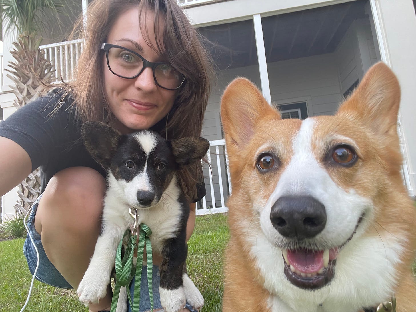 A photo of Kendra taking a selfie with Gwen, a black and white cardigan puppy, and Dylan, a red and white Pembroke Welsh Corgi.