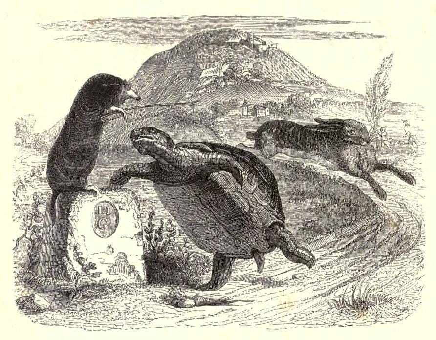 Illustration of the tortoise crossing the finish line as the rabbit runs behind.
