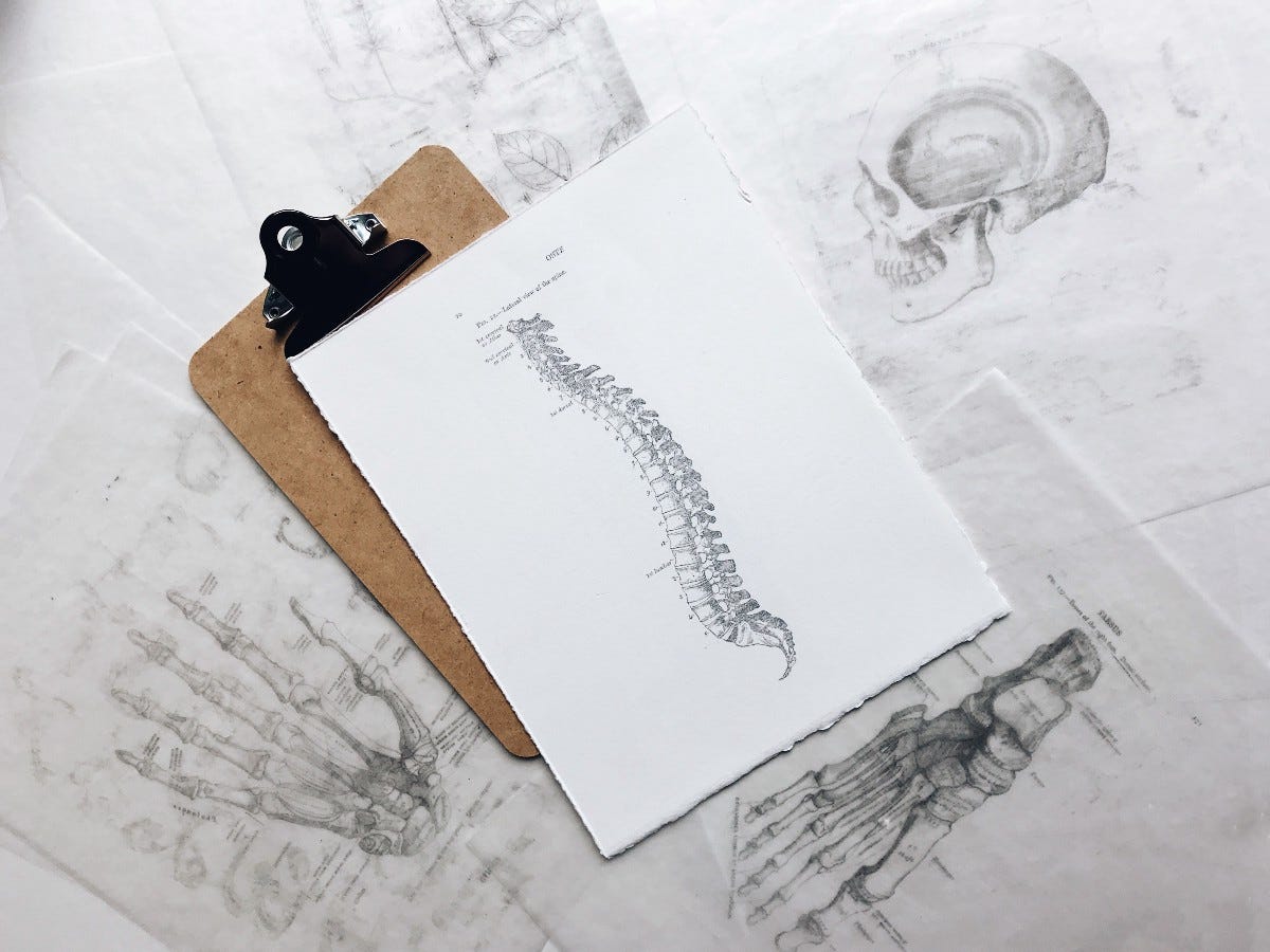 A drawing of the spine on top of a clipboard, which sits on top of numerous drawings of our skeleton body.
