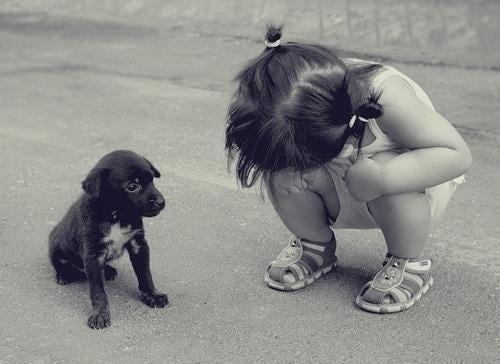 Baby Girl And Puppy Pictures, Photos, and Images for Facebook, Tumblr,  Pinterest, and Twitter