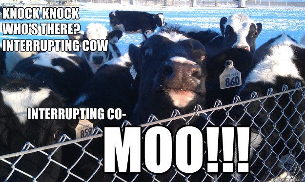 Brave and Happy: Interrupting cow!