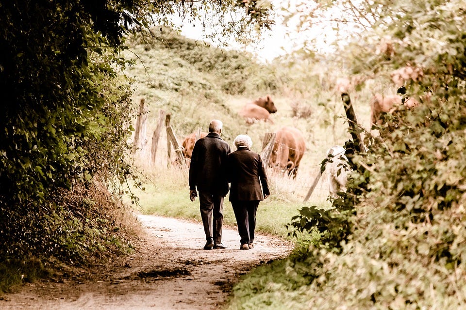 Elderly, Couple, Walking, Trail, Countryside, Rural