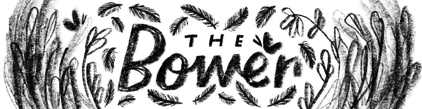 Banner that reads “The Bower” illustrated with feathers, butterflies and plants.