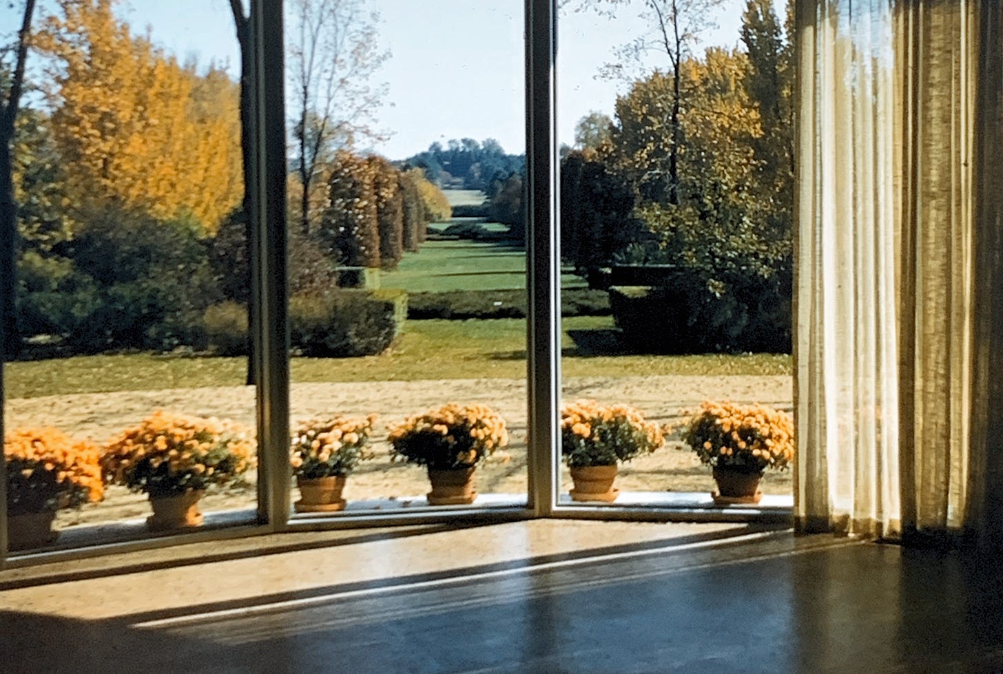 View out from inside the circular glass pavilion. Out the floor to ceiling windows is the length on the hedge garden, turning to fall color.