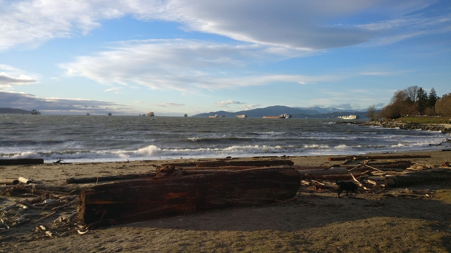 A view of the ocean from English Bay Beach in Vancouver. There's a big log in the foreground, several container ships in the near distance, and mountains further out