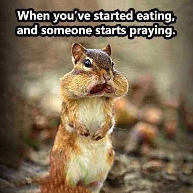 May be an image of text that says 'When you've started eating, and someone starts praying.'