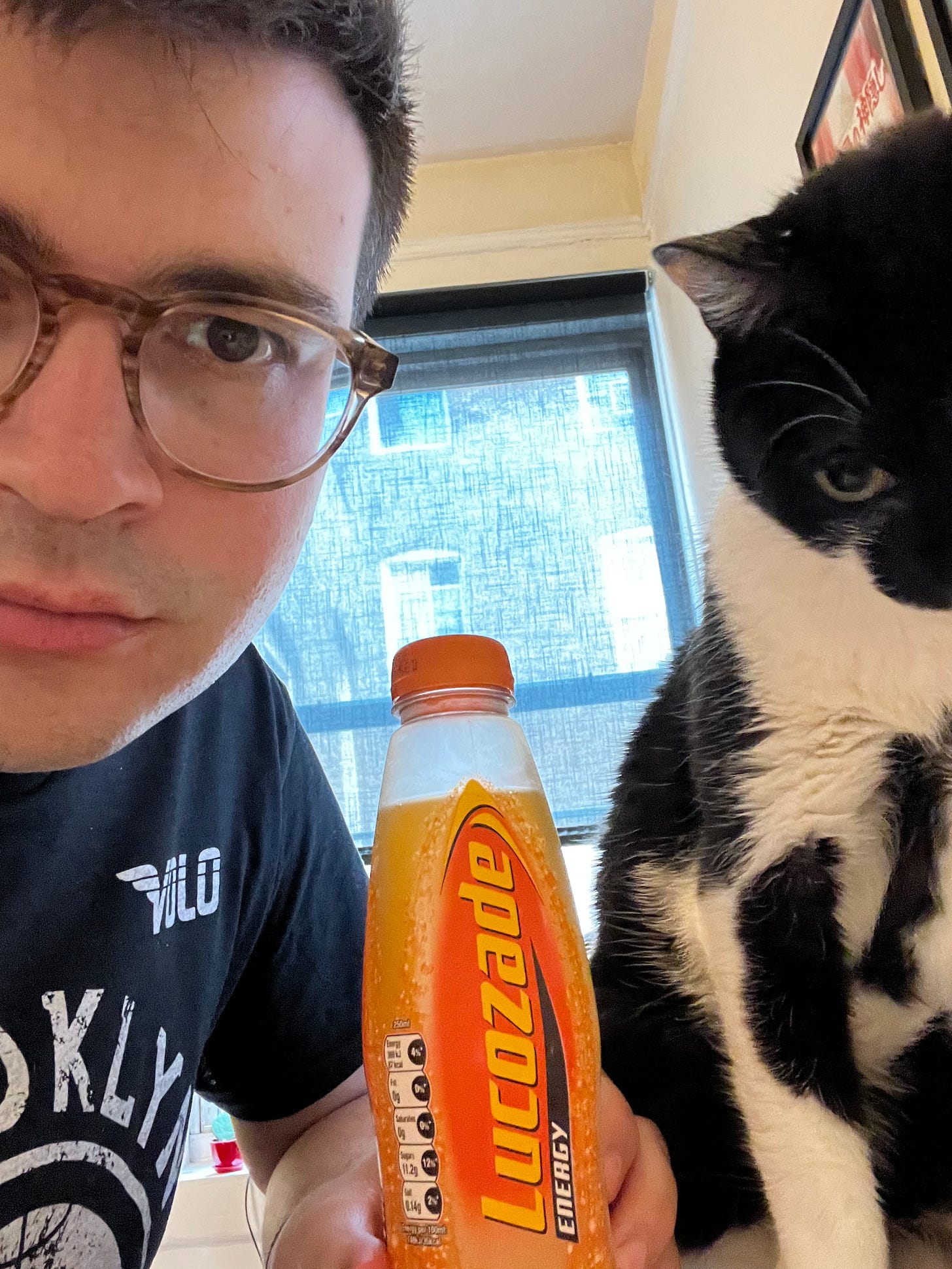 The author and his cat, who is glowering menacingly, hold up a Lucozade Orange.