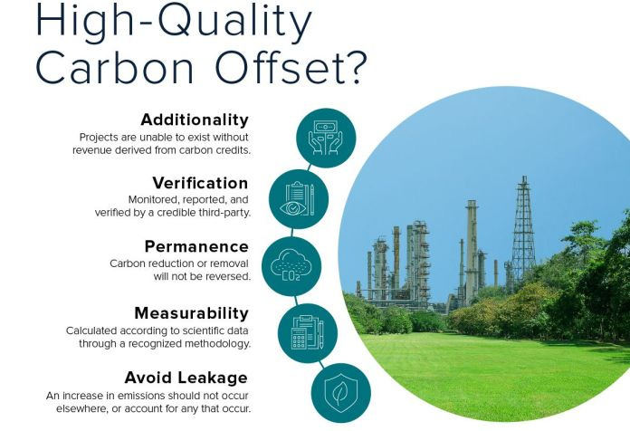 The Pros and Cons of Carbon Offsetting Programs
