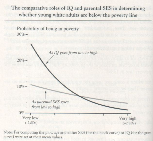 the-bell-curve-1994-herrnstein-and-murray-graph-p-134