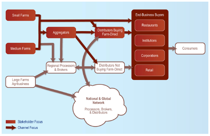 Flow chart showing the food supply chain