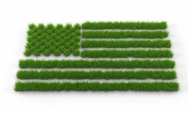 America Must Aim for a More Sustainable Future | Sustainability Academy