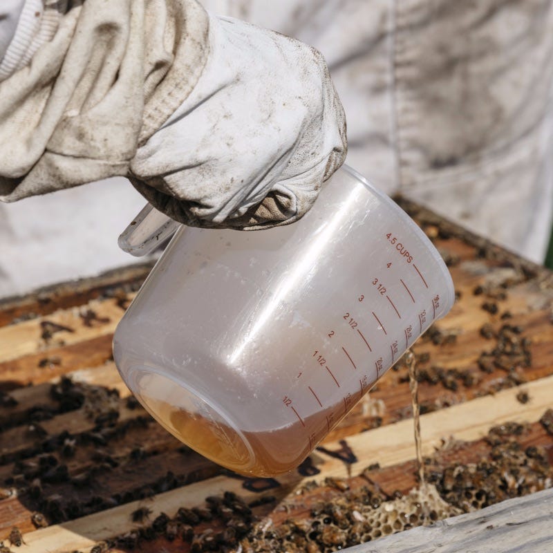 Image of liquid being poured into bee hive.