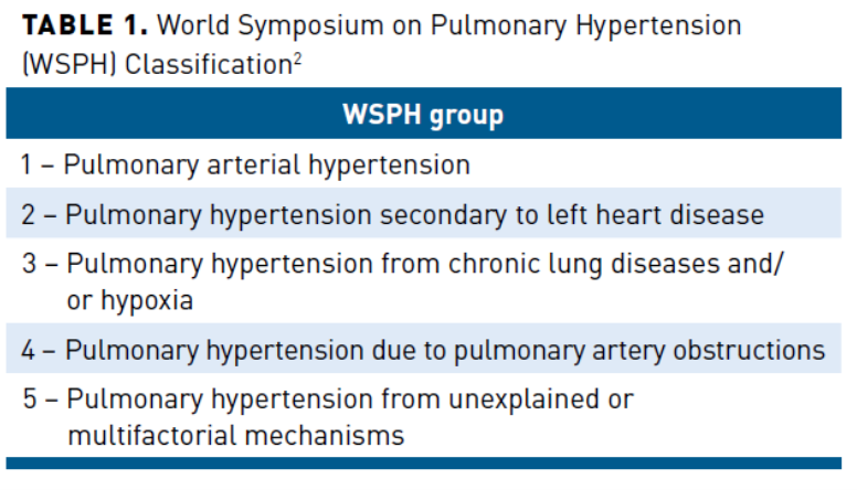 Pulmonary Arterial Hypertension: Updates in Epidemiology and Evaluation of  Patients