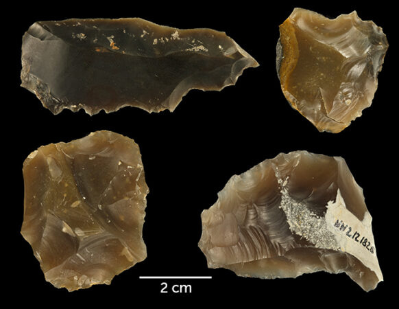 Numerous stone artifacts such as these, unearthed at the Neumark-Nord site in Germany, contributed to a reconstruction of Neandertals’ environment-altering behaviors over a span of around 2,000 years.Eduard Pop/Leiden University and Naturalis Biodiversity Centre, Leiden