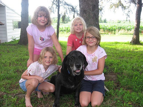 Beauties and a Beast