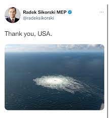 Insider Paper on Twitter: "NEW 🚨 Radek Sikorski, Chair of the Delegation  for relations with the US, a Polish politician tweets “Thank you, USA.”  with the picture of Nord Stream gas leak