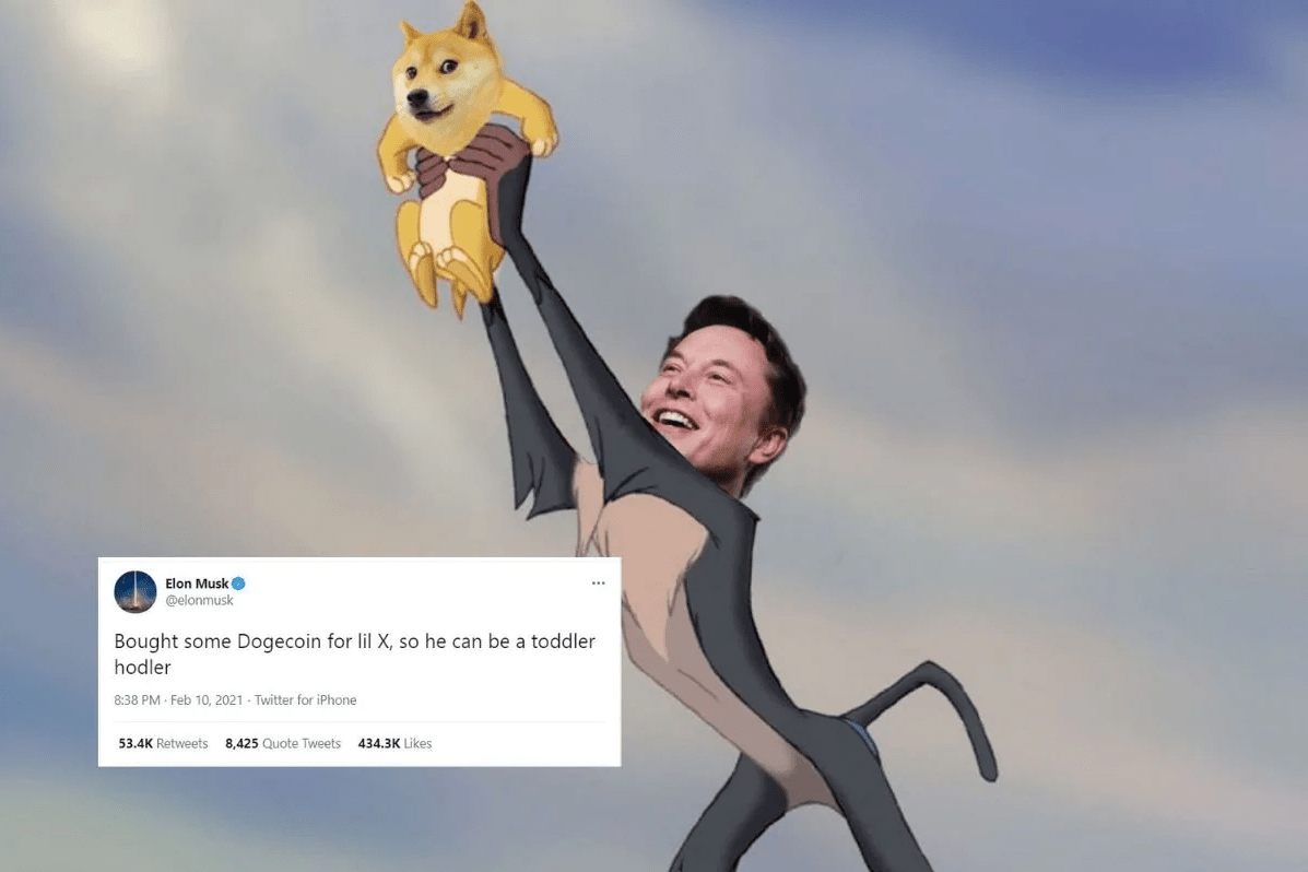 Elon Musk meme Dogecoin aconomics