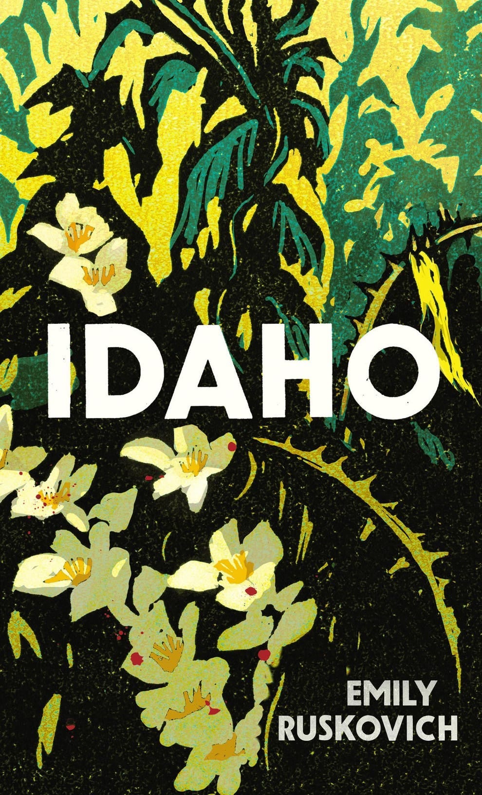 Cover of Idaho by Emily Ruskovich 