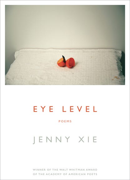 Cover of Eye Level, by Jenny Xie