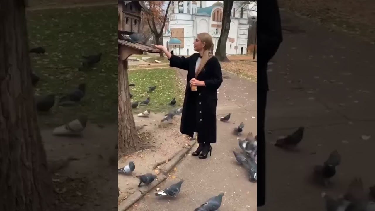 Тимошенко погодувала голубів - YouTube