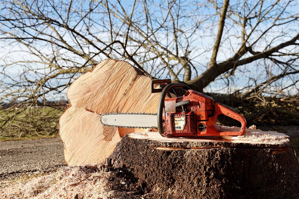 Chainsaw, Tree, Tree Pruning, Forest Work, Saw, Felling
