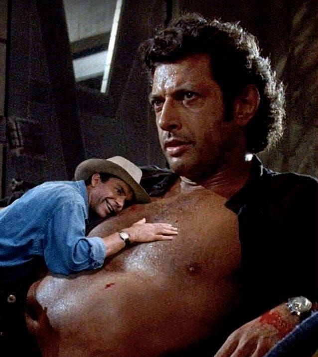 Treasured Chest: Actor Jeff Goldblum&#39;s Popularity Rises in Recent Years  Thanks to a Viral Jurassic Park Meme | ArtSlut