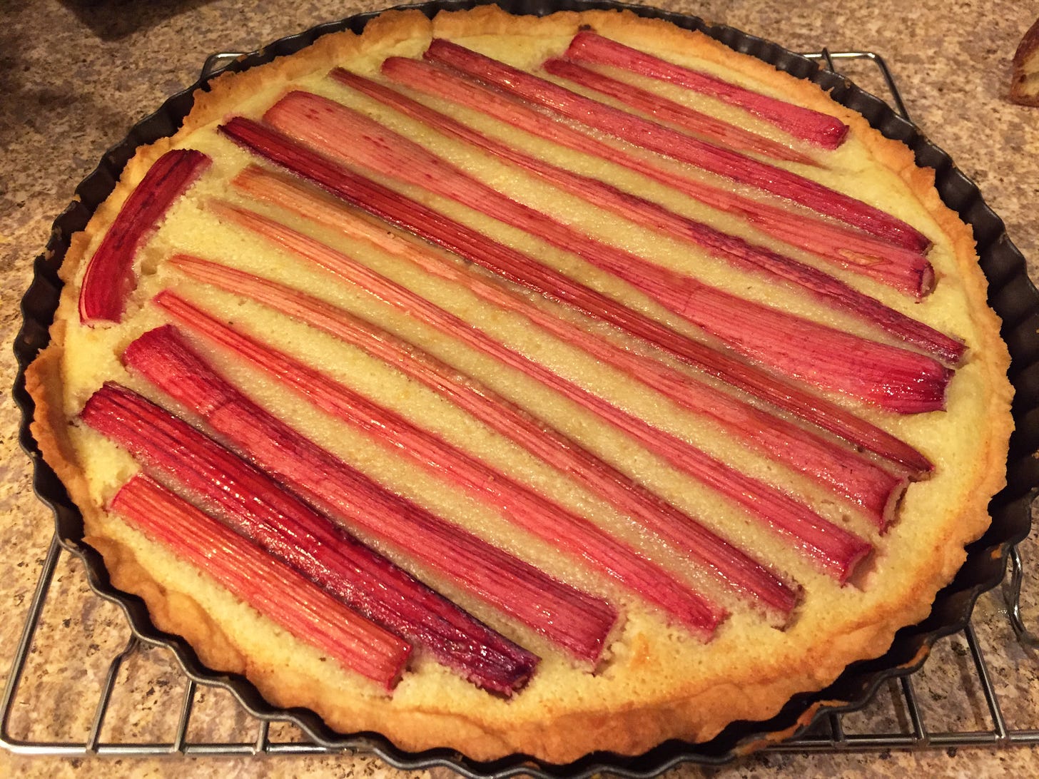 On a cooling rack is a tart pan containing a frangipane tart with browned edges, and stalks of cooked rhubarb lain across the top.