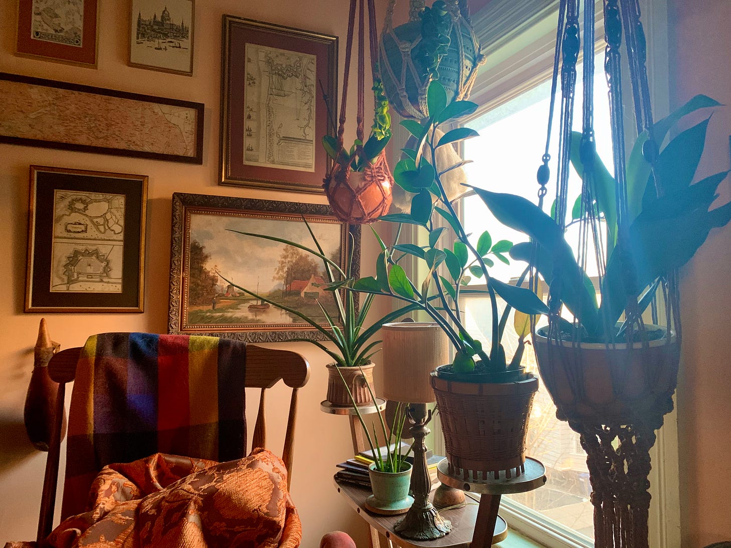several plants on a table in front of a window, with framed art and a rocking chair