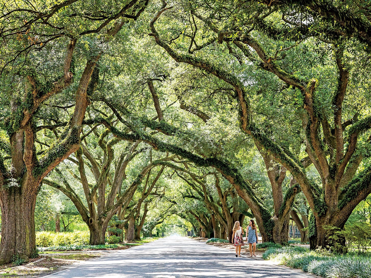 Aiken, South Carolina: A Horse-Country Town Rich in Tradition | Southern  Living