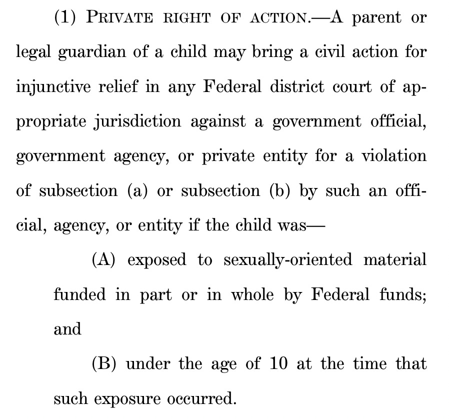 (1) PRIVATE RIGHT OF ACTION.—A parent or 2 legal guardian of a child may bring a civil action for 3 injunctive relief in any Federal district court of ap4 propriate jurisdiction against a government official, 5 government agency, or private entity for a violation 6 of subsection (a) or subsection (b) by such an offi7 cial, agency, or entity if the child was— 8 (A) exposed to sexually-oriented material 9 funded in part or in whole by Federal funds; 10 and 11 (B) under the age of 10 at the time that 12 such exposure occurred. 