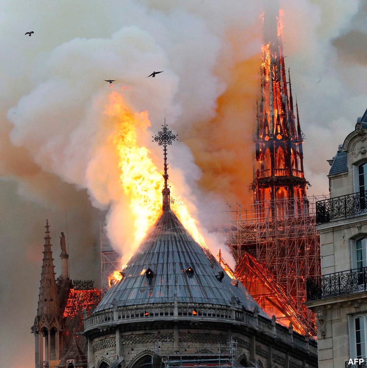 Image result from https://americandigest.org/wp/the-death-by-fire-of-notre-dame-in-paris/