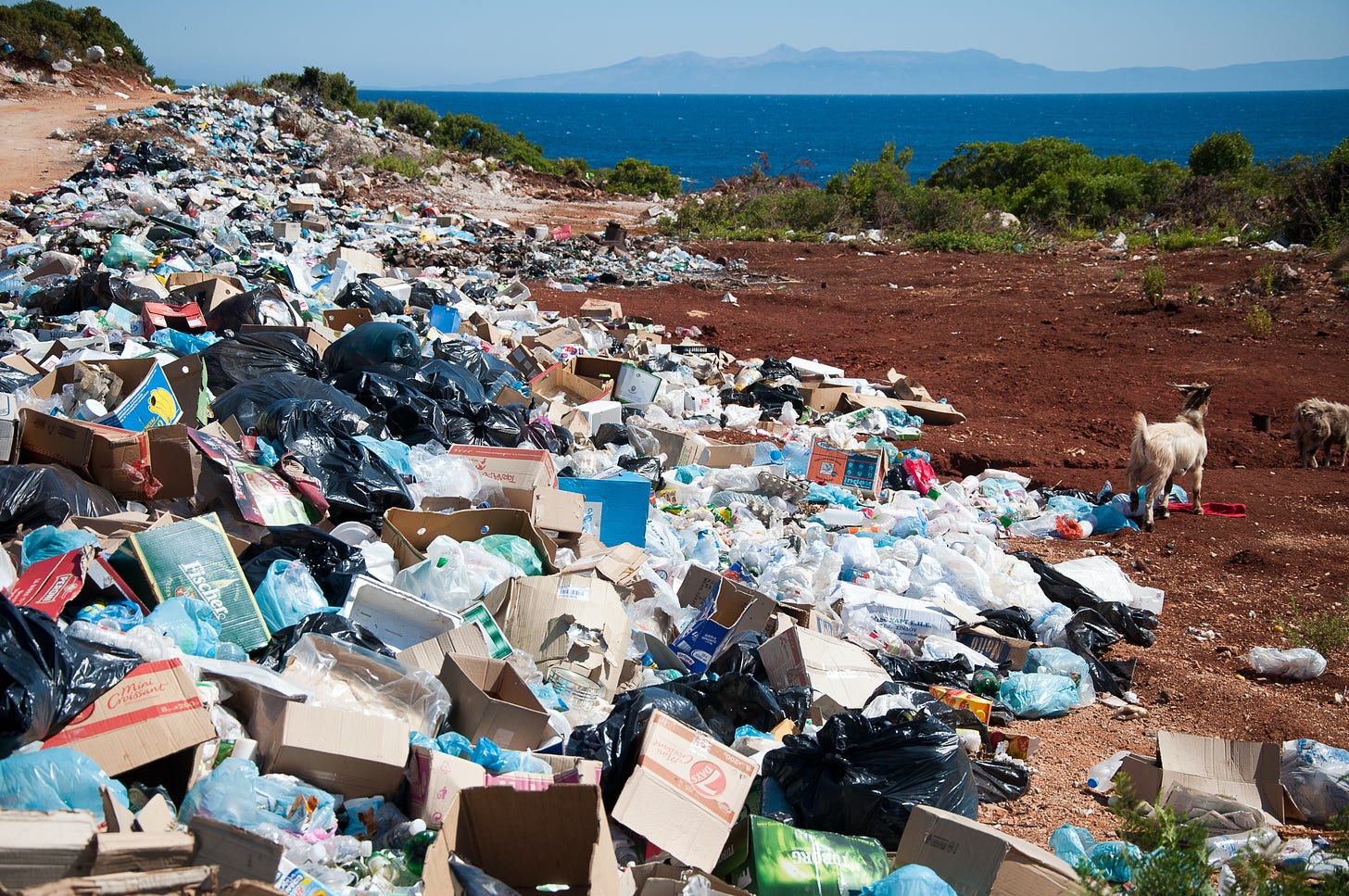 Trash piled all along a red sand beach