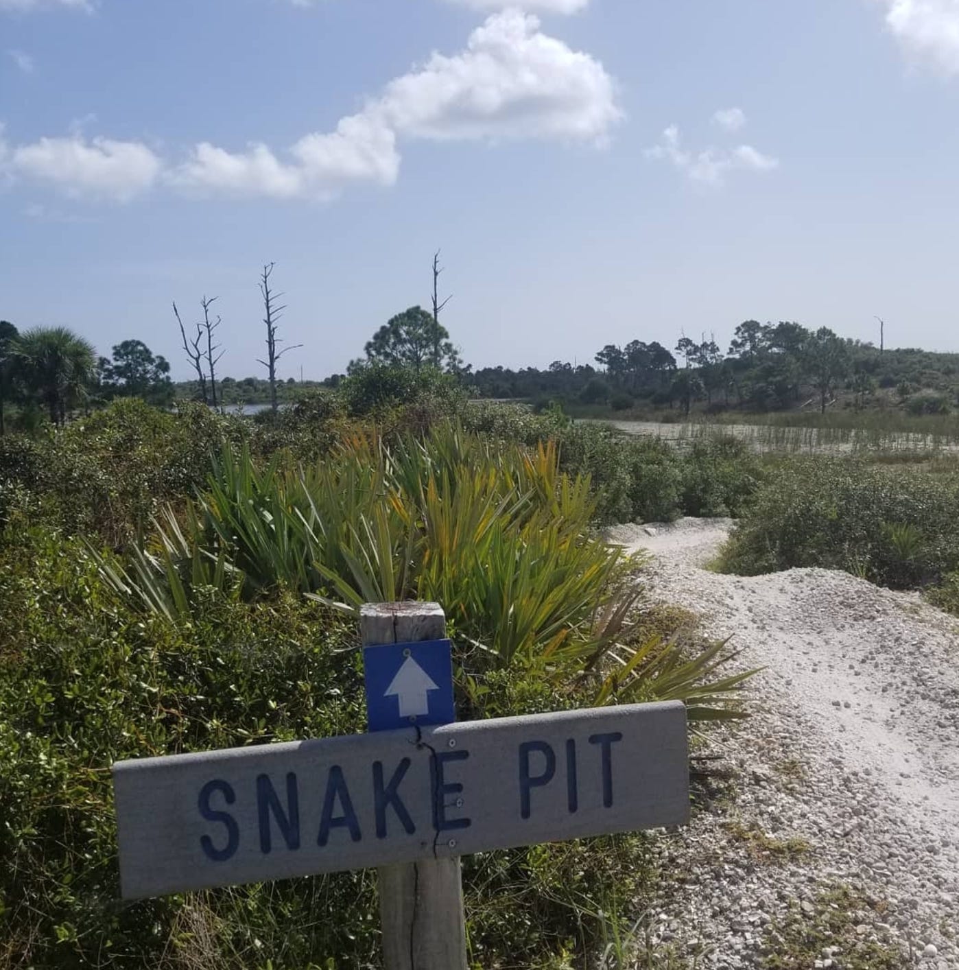 A trail sign advertises "Snake pit," ahead of a dip and banked turn going into a mountain biking trail.