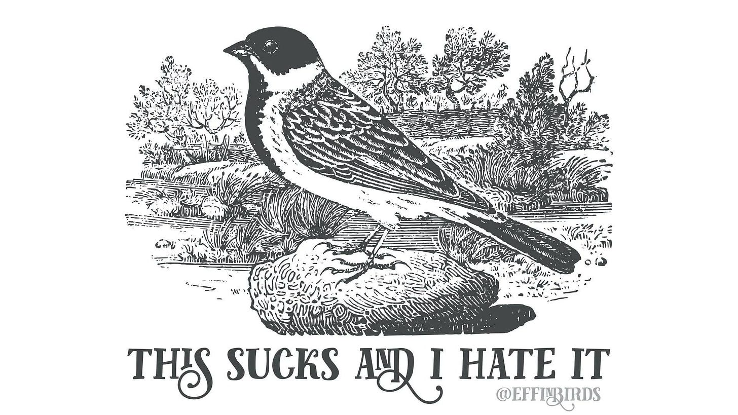 A woodcut of a black-headed bunting above the text "this sucks and I hate it"