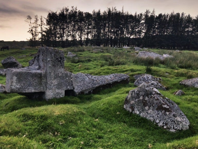 Fallen stone Irish cross in a field with woods behind. Photo by author.