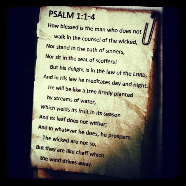 Psalm 1:1-4 | prodigal daughter
