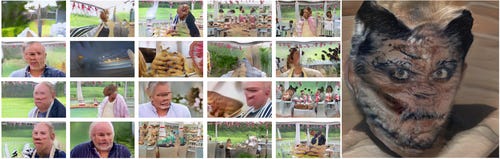 left:
collage of neural net generated GBBO images. At first glance the 20 photos in this grid look like screenshots from the Great British Bakeoff. But upon slightly closer inspection, the humans all have vague faces (or none at all), and the background makes no geometric sense. Bread floats, or bubbles. The counters are chaotic. The backdrop is nice and green though.
right:
It’s a person with a furry tortoiseshell face and cat ears. Their irises have gone strangely blonde. It is quite horrible.