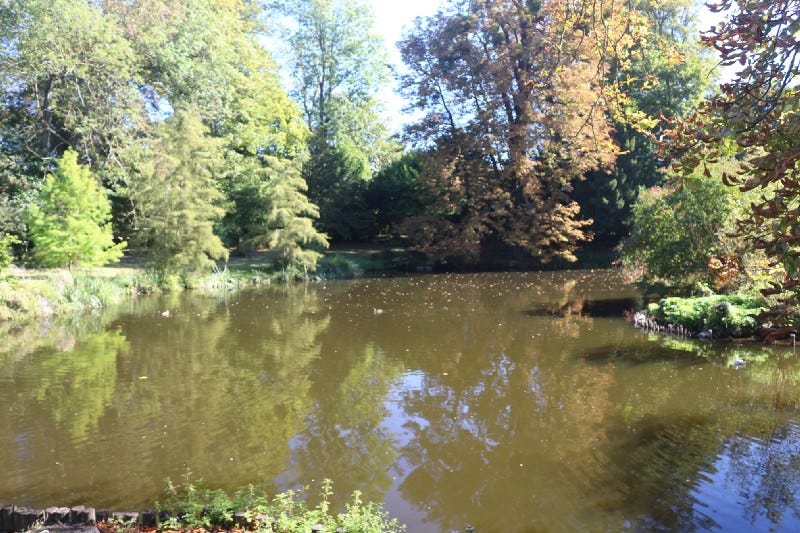 Pond at Parc Balbi, Versailles, France