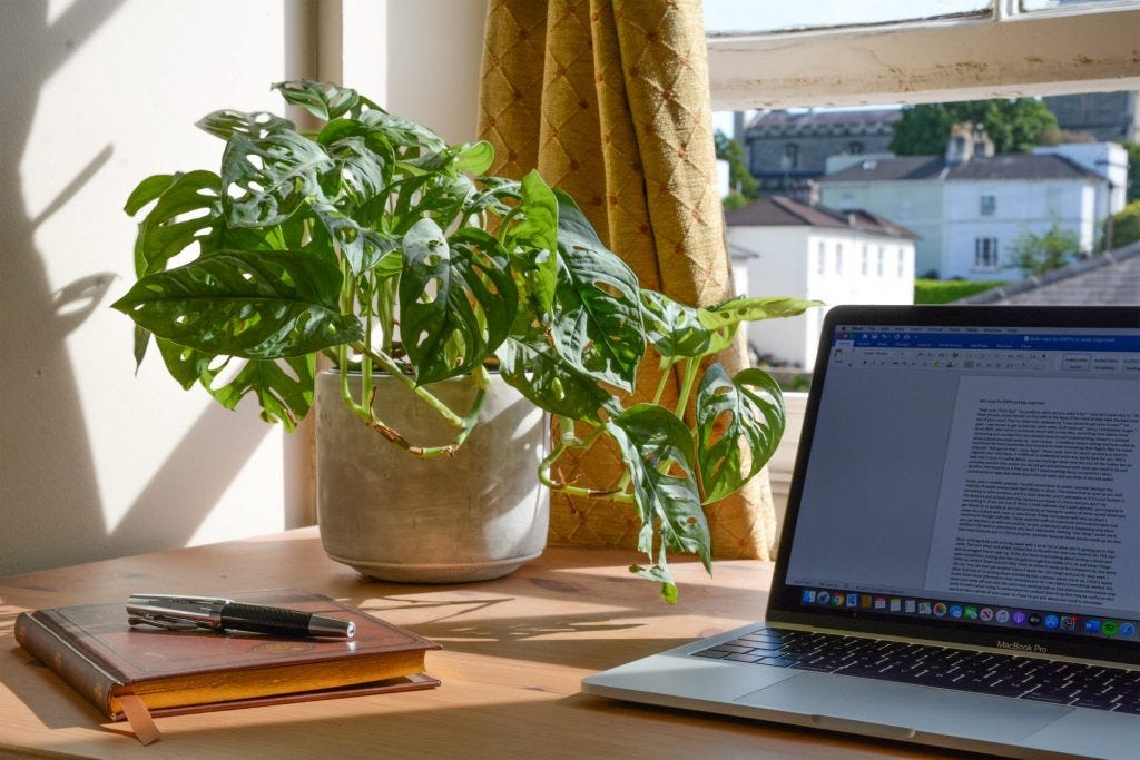 A sunny workspace. Laptop and notebook on a desk beside a pot plant.