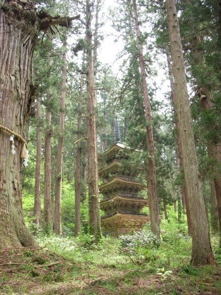 Gojunoto (五重塔) five story pagoda on Mt. Haguro.