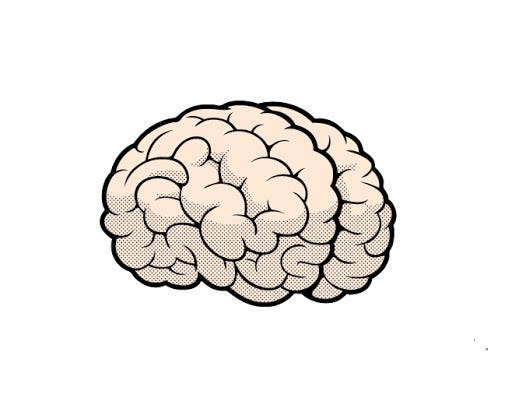 Free Animated Brain Cliparts, Download Free Clip Art, Free Clip Art on  Clipart Library