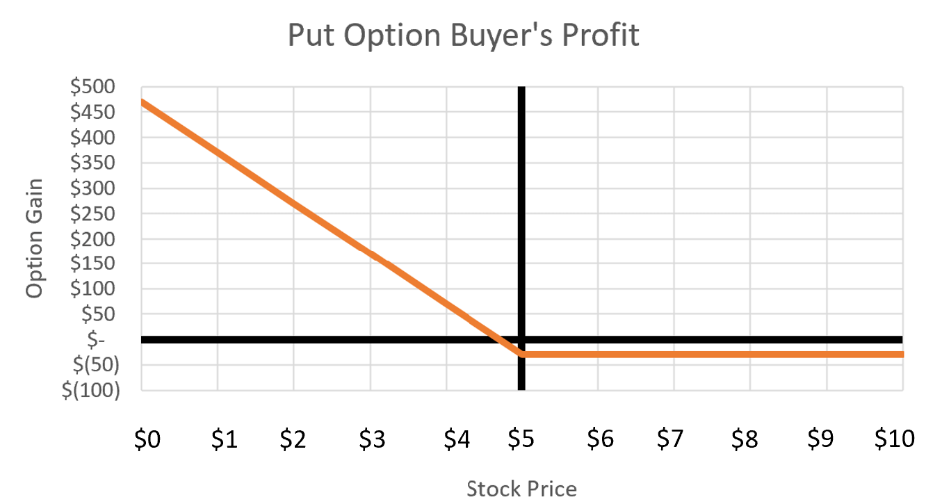 Put Option Buyer's Profit