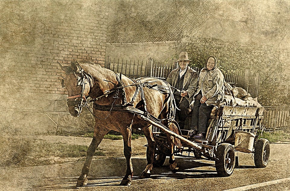 Horse Farm Wagon Old Couple - Free image on Pixabay